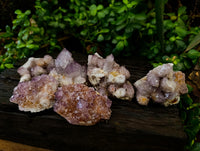 Natural Dark Amethyst Spirit Quartz Clusters x 6 From Boekenhouthoek, South Africa