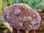 Natural Dark Amethyst Spirit Quartz Clusters x 6 From Boekenhouthoek, South Africa - Toprock Gemstones and Minerals 