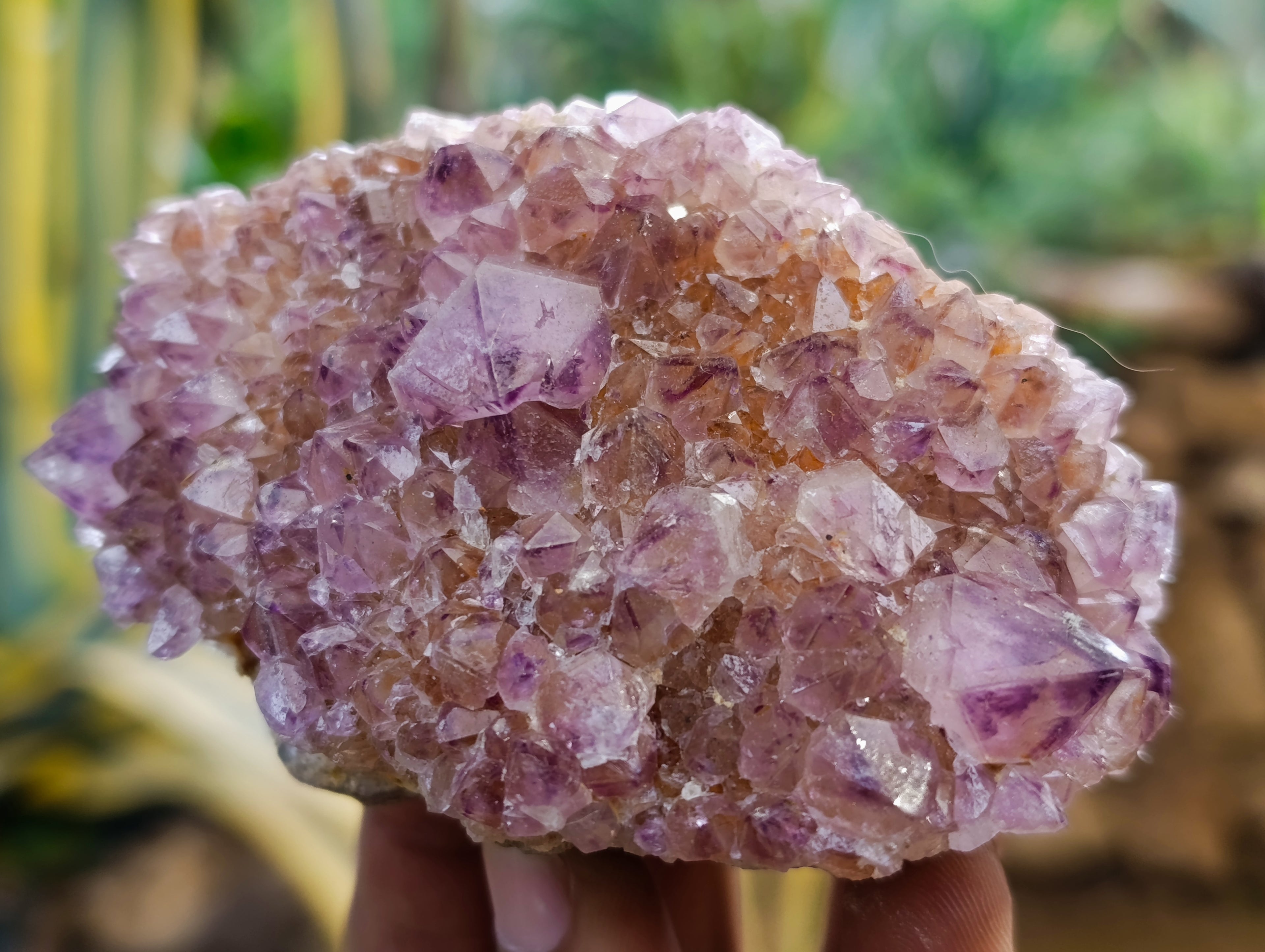 Natural Dark Amethyst Spirit Quartz Clusters x 6 From Boekenhouthoek, South Africa - Toprock Gemstones and Minerals 