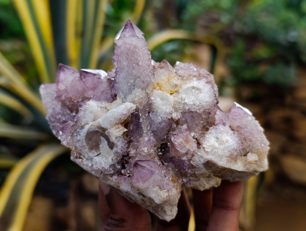 Natural Dark Amethyst Spirit Quartz Clusters x 6 From Boekenhouthoek, South Africa - Toprock Gemstones and Minerals 