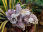 Natural Dark Amethyst Spirit Quartz Clusters x 6 From Boekenhouthoek, South Africa - Toprock Gemstones and Minerals 