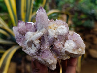 Natural Dark Amethyst Spirit Quartz Clusters x 6 From Boekenhouthoek, South Africa
