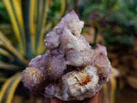 Natural Dark Amethyst Spirit Quartz Clusters x 6 From Boekenhouthoek, South Africa