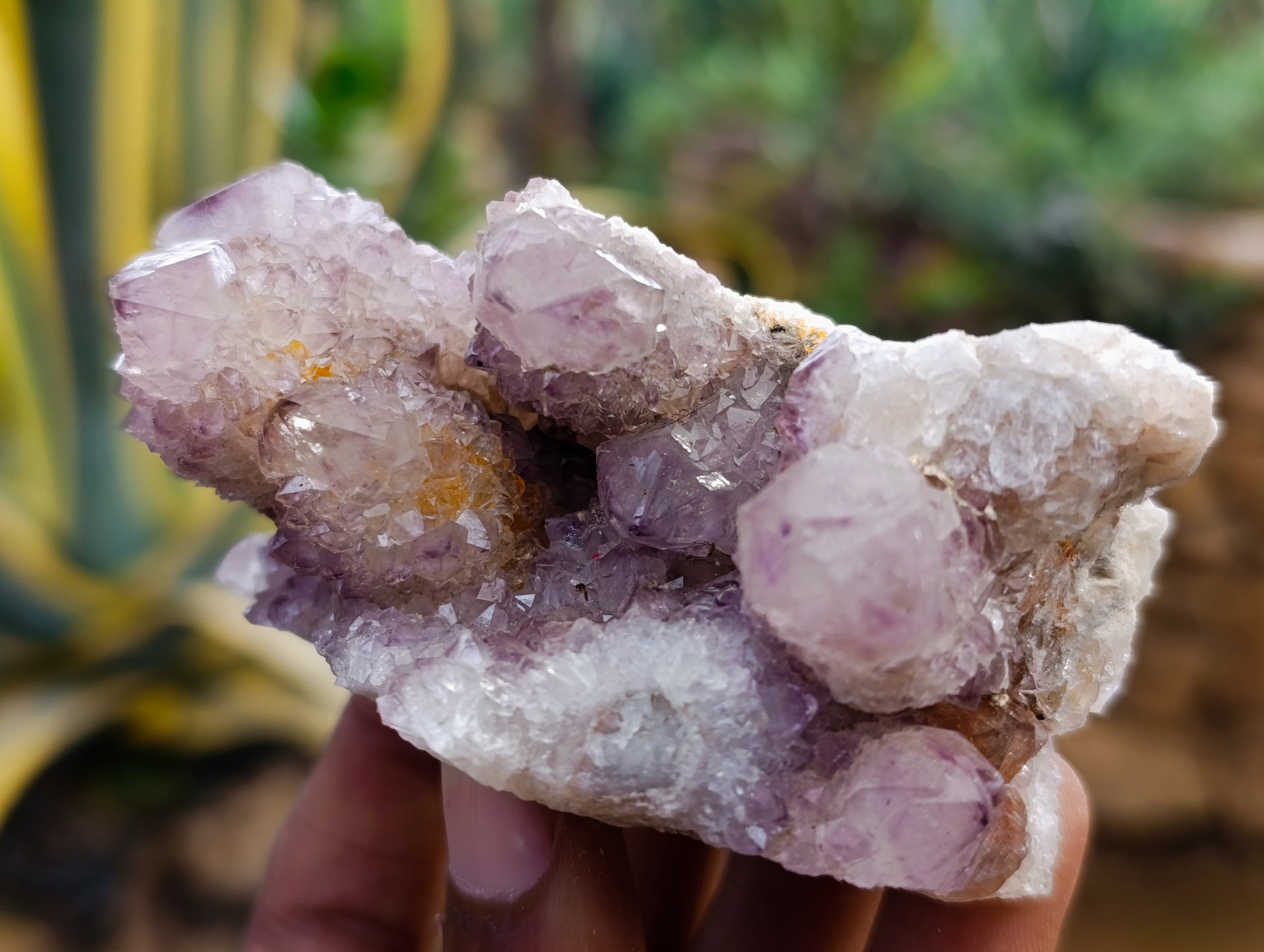 Natural Dark Amethyst Spirit Quartz Clusters x 6 From Boekenhouthoek, South Africa - Toprock Gemstones and Minerals 