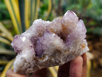 Natural Dark Amethyst Spirit Quartz Clusters x 6 From Boekenhouthoek, South Africa