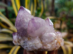 Natural Dark Amethyst Spirit Quartz Clusters x 6 From Boekenhouthoek, South Africa - Toprock Gemstones and Minerals 