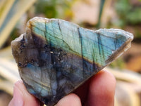 Polished On One Side Labradorite Plates x 35 From Tulear, Madagascar