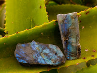 Polished On One Side Labradorite Plates x 35 From Tulear, Madagascar