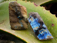 Polished On One Side Labradorite Plates x 35 From Tulear, Madagascar
