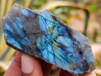 Polished On One Side Labradorite Plates x 35 From Tulear, Madagascar