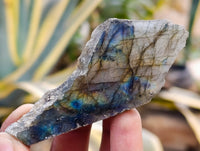 Polished On One Side Labradorite Plates x 35 From Tulear, Madagascar