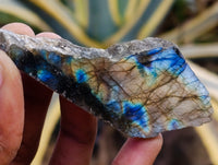 Polished On One Side Labradorite Plates x 35 From Tulear, Madagascar