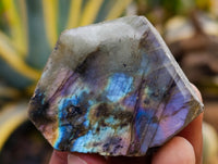 Polished On One Side Labradorite Plates x 35 From Tulear, Madagascar