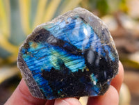 Polished On One Side Labradorite Plates x 35 From Tulear, Madagascar