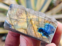 Polished On One Side Labradorite Plates x 35 From Tulear, Madagascar