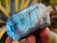 Polished On One Side Labradorite Plates x 35 From Tulear, Madagascar