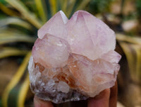 Natural Dark Amethyst Spirit Quartz Clusters x 12 From Boekenhouthoek, South Africa