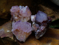 Natural Dark Amethyst Spirit Quartz Clusters x 12 From Boekenhouthoek, South Africa