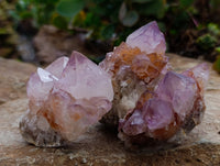 Natural Dark Amethyst Spirit Quartz Clusters x 12 From Boekenhouthoek, South Africa