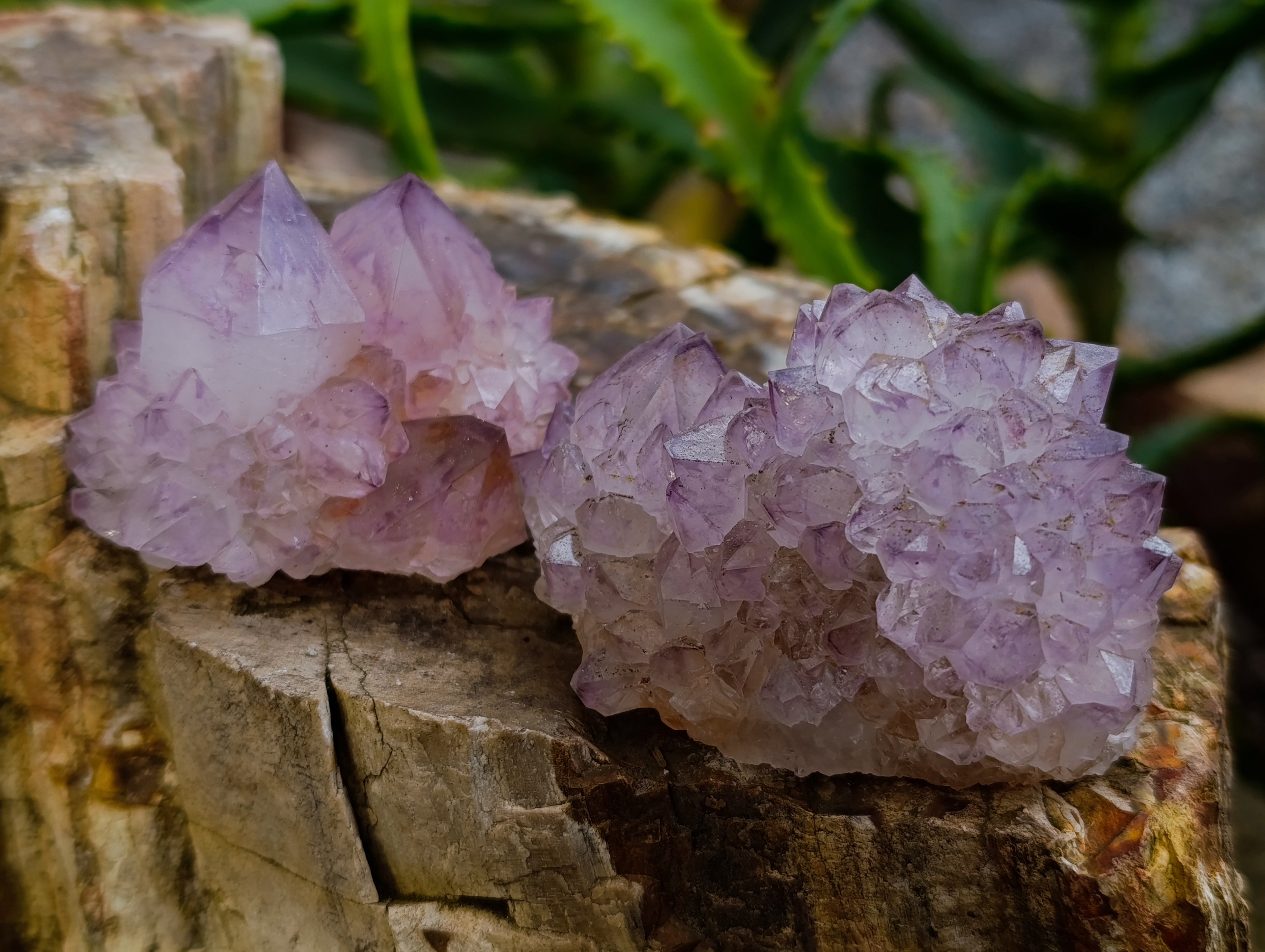 Natural Dark Amethyst Spirit Quartz Clusters x 12 From Boekenhouthoek, South Africa - Toprock Gemstones and Minerals 