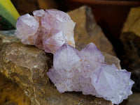 Natural Dark Amethyst Spirit Quartz Clusters x 12 From Boekenhouthoek, South Africa