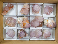 Natural Dark Amethyst Spirit Quartz Clusters x 12 From Boekenhouthoek, South Africa