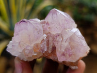 Natural Dark Amethyst Spirit Quartz Clusters x 12 From Boekenhouthoek, South Africa