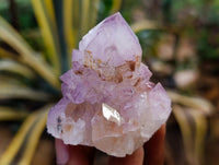 Natural Dark Amethyst Spirit Quartz Clusters x 12 From Boekenhouthoek, South Africa