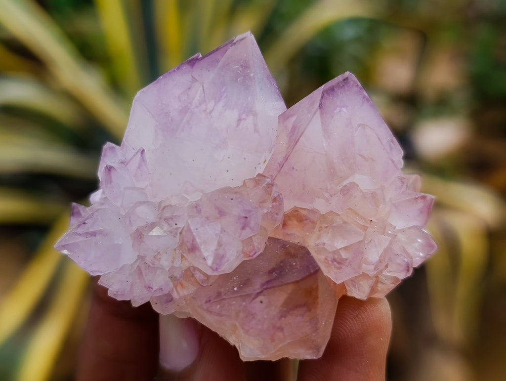 Natural Dark Amethyst Spirit Quartz Clusters x 12 From Boekenhouthoek, South Africa - Toprock Gemstones and Minerals 