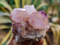 Natural Dark Amethyst Spirit Quartz Clusters x 12 From Boekenhouthoek, South Africa