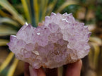 Natural Dark Amethyst Spirit Quartz Clusters x 12 From Boekenhouthoek, South Africa - Toprock Gemstones and Minerals 