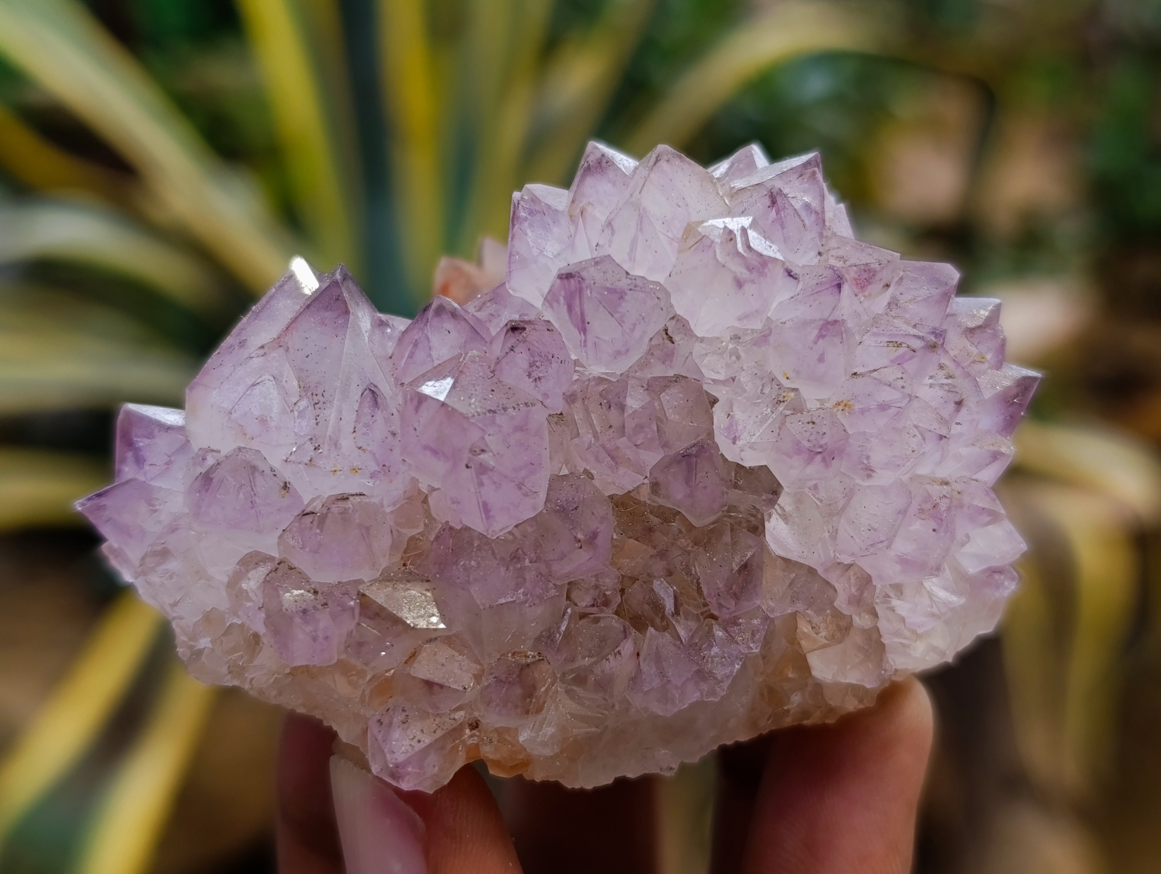 Natural Dark Amethyst Spirit Quartz Clusters x 12 From Boekenhouthoek, South Africa - Toprock Gemstones and Minerals 