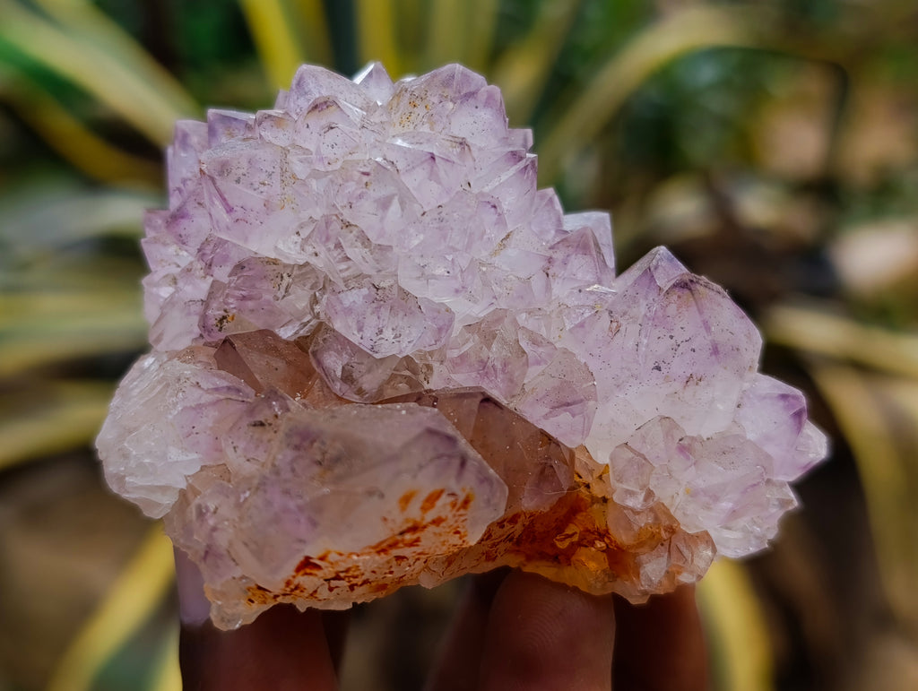 Natural Dark Amethyst Spirit Quartz Clusters x 12 From Boekenhouthoek, South Africa - Toprock Gemstones and Minerals 