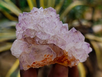 Natural Dark Amethyst Spirit Quartz Clusters x 12 From Boekenhouthoek, South Africa