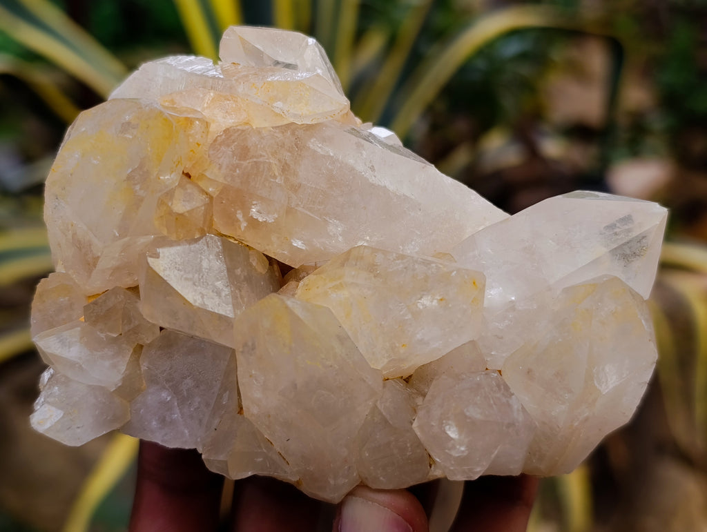 Natural Quartz Clusters x 4 From Madagascar - Toprock Gemstones and Minerals 