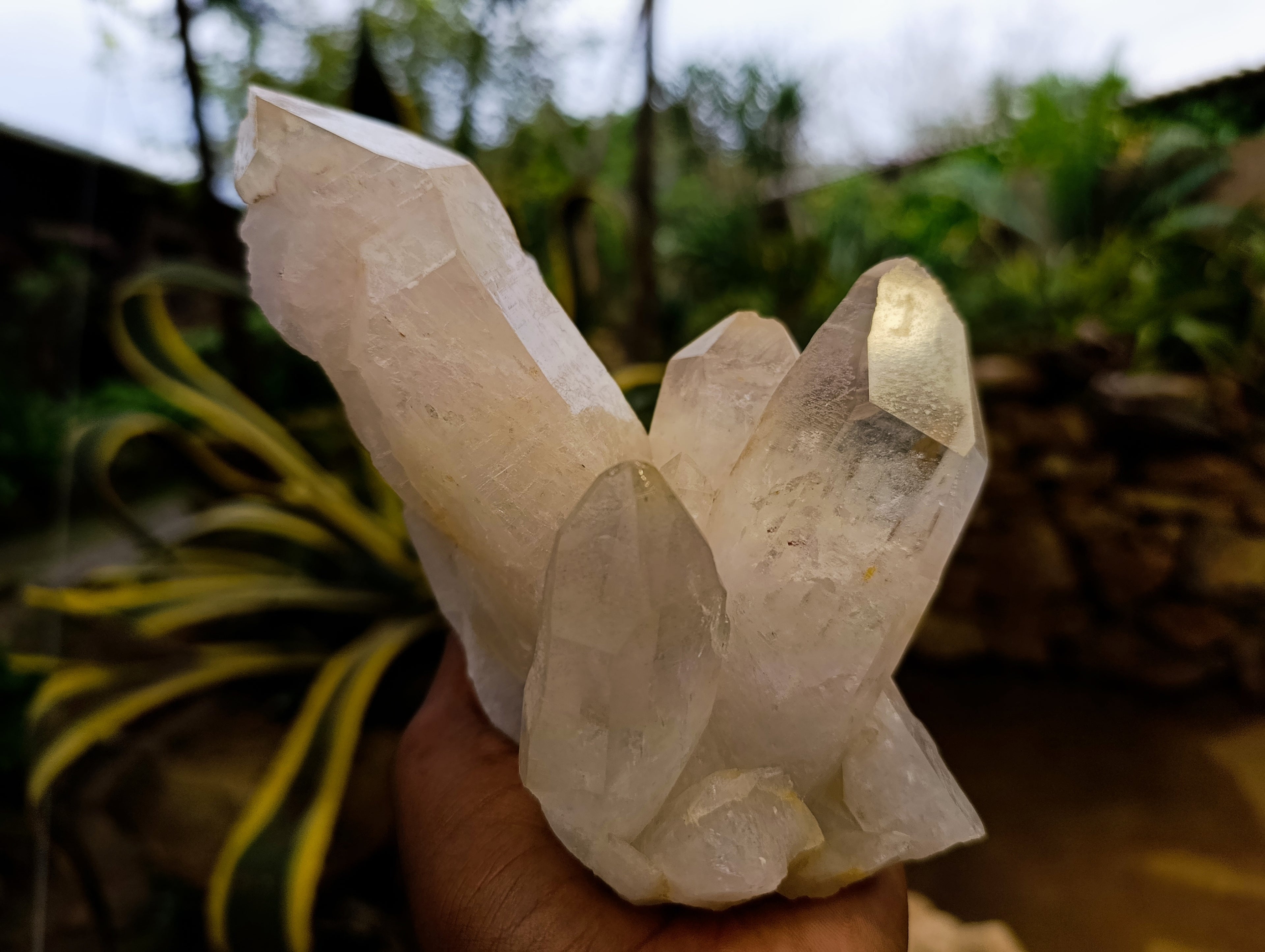 Natural Quartz Clusters x 4 From Madagascar - Toprock Gemstones and Minerals 