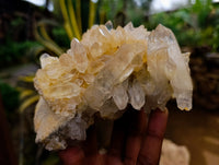 Natural Quartz Clusters x 4 From Madagascar
