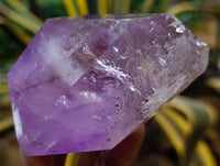 Polished Window Amethyst Quartz Point x 2 From Akansobe, Madagascar