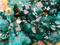 Natural Dioptase On Dolomite Specimens x 3 From Mashamba West Mine, Congo