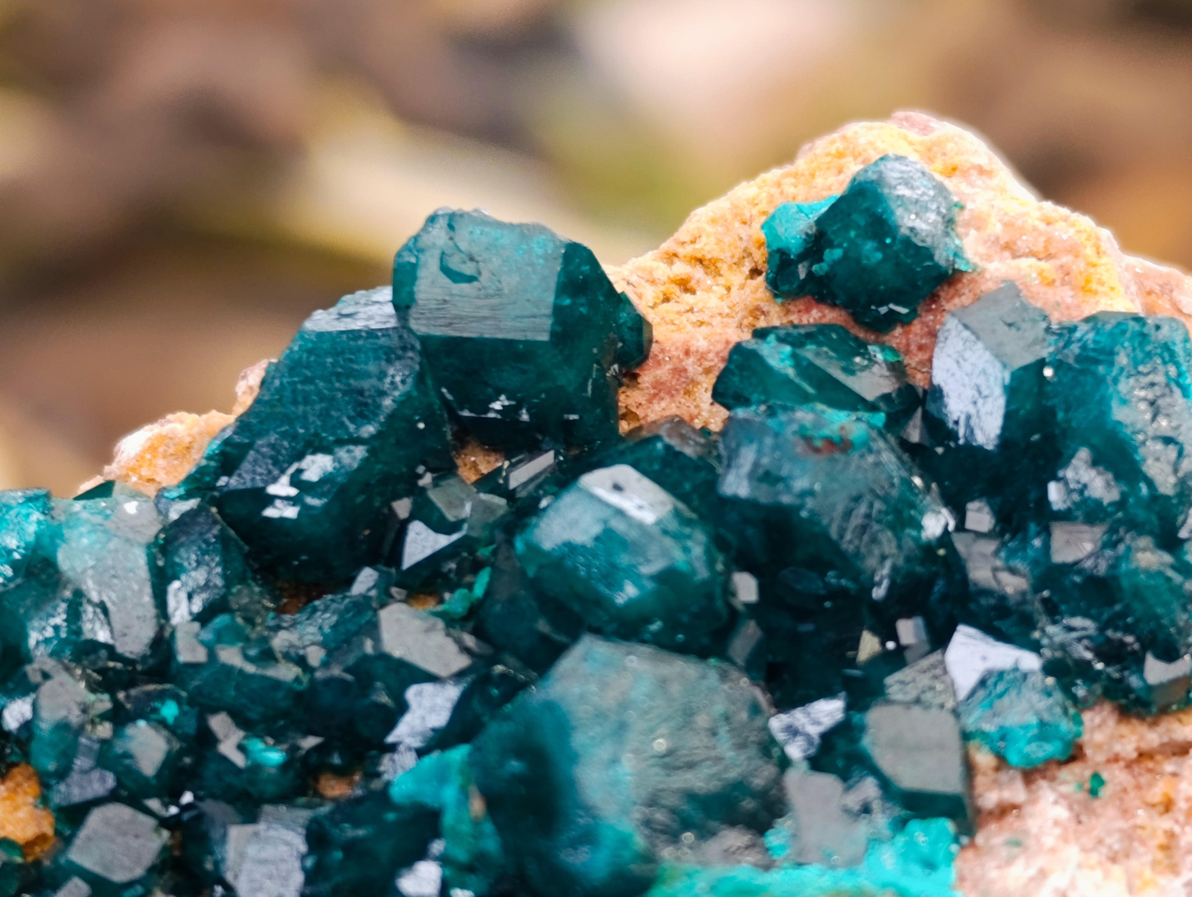 Natural Dioptase On Dolomite Specimens x 3 From Mashamba West Mine, Congo - Toprock Gemstones and Minerals 