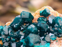 Natural Dioptase On Dolomite Specimens x 3 From Mashamba West Mine, Congo