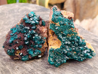 Natural Dioptase On Dolomite Specimens x 3 From Mashamba West Mine, Congo