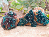Natural Dioptase On Dolomite Specimens x 3 From Mashamba West Mine, Congo