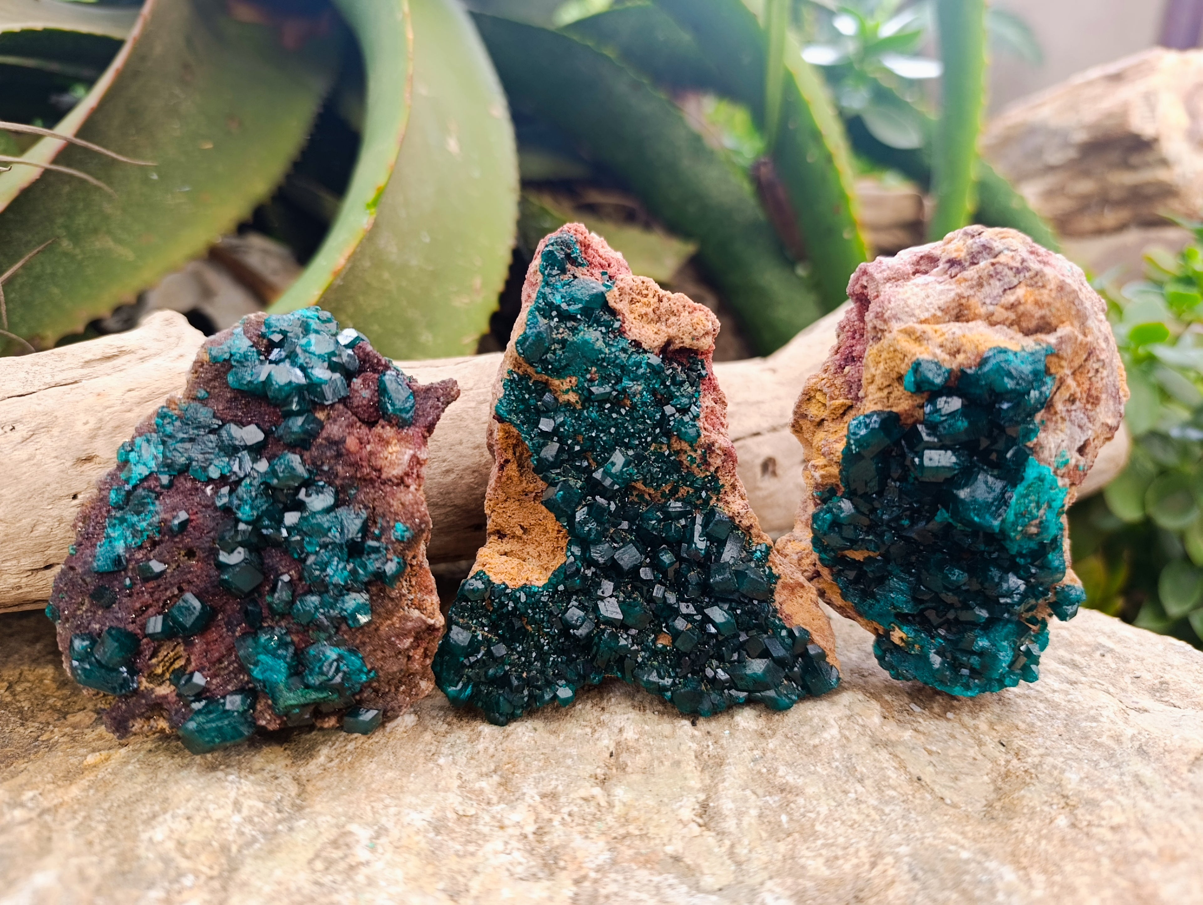 Natural Dioptase On Dolomite Specimens x 3 From Mashamba West Mine, Congo - Toprock Gemstones and Minerals 