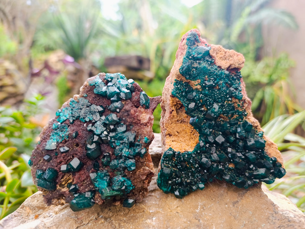 Natural Dioptase On Dolomite Specimens x 3 From Mashamba West Mine, Congo - Toprock Gemstones and Minerals 