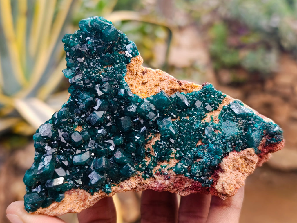 Natural Dioptase On Dolomite Specimens x 3 From Mashamba West Mine, Congo - Toprock Gemstones and Minerals 