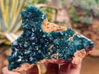 Natural Dioptase On Dolomite Specimens x 3 From Mashamba West Mine, Congo - Toprock Gemstones and Minerals 