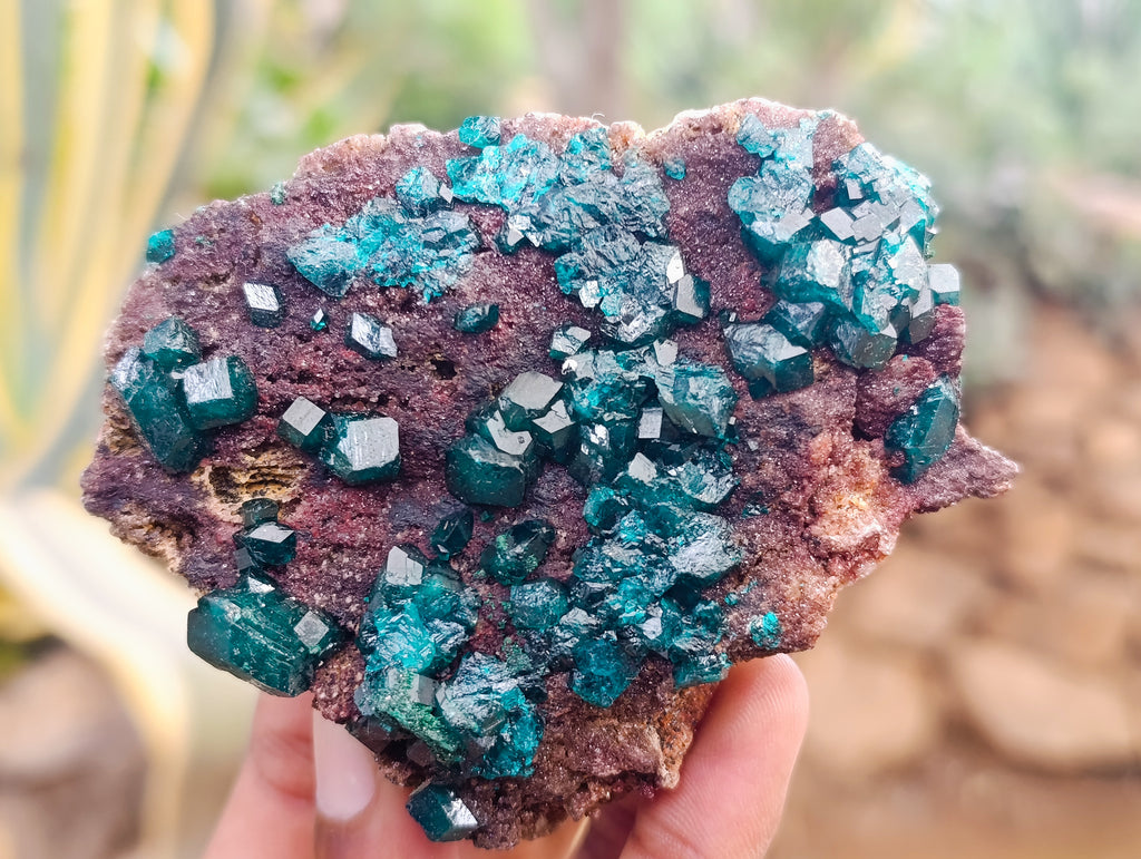Natural Dioptase On Dolomite Specimens x 3 From Mashamba West Mine, Congo - Toprock Gemstones and Minerals 