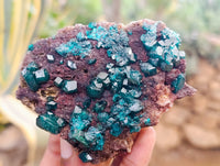 Natural Dioptase On Dolomite Specimens x 3 From Mashamba West Mine, Congo