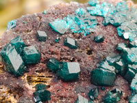 Natural Dioptase On Dolomite Specimens x 3 From Mashamba West Mine, Congo